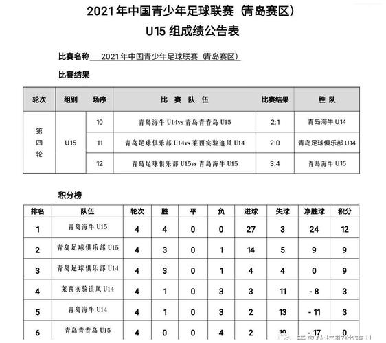 U15国少队的比赛成绩