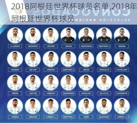 2018阿根廷世界杯球员名单,2018年阿根廷世界杯球员