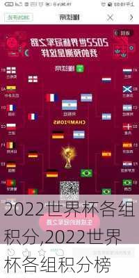 2022世界杯各组积分,2022世界杯各组积分榜