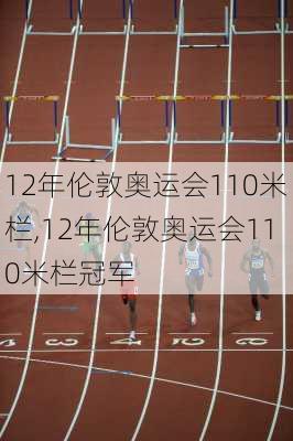 12年伦敦奥运会110米栏,12年伦敦奥运会110米栏冠军