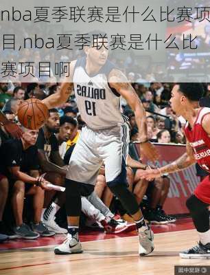 nba夏季联赛是什么比赛项目,nba夏季联赛是什么比赛项目啊