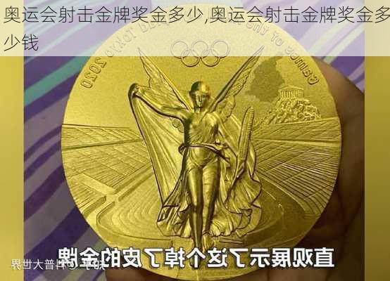 奥运会射击金牌奖金多少,奥运会射击金牌奖金多少钱