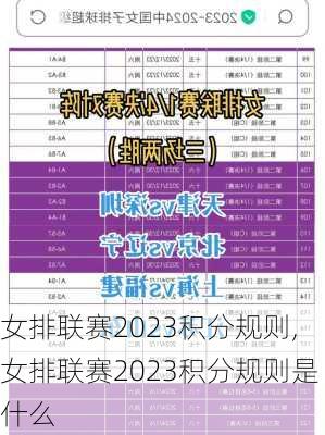 女排联赛2023积分规则,女排联赛2023积分规则是什么