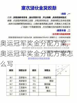 奥运冠军奖金分配方案,奥运冠军奖金分配方案怎么写