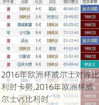 2016年欧洲杯威尔士对阵比利时卡努,2016年欧洲杯威尔士vs比利时