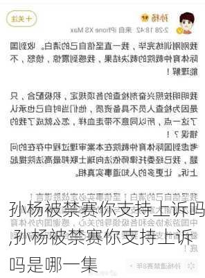 孙杨被禁赛你支持上诉吗,孙杨被禁赛你支持上诉吗是哪一集