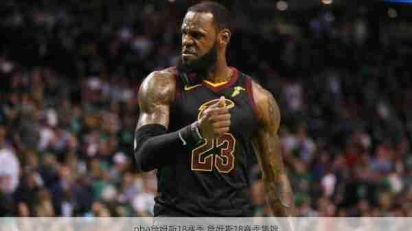 nba詹姆斯18赛季,詹姆斯18赛季集锦